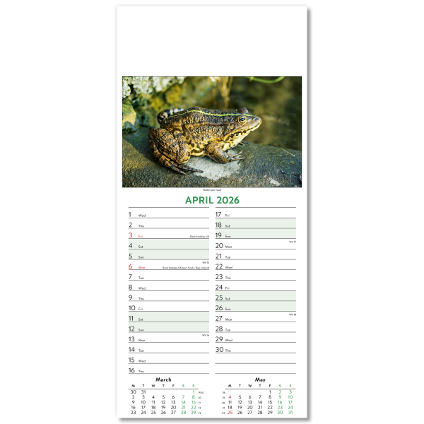 Wildlife Slim Wall Calendar
