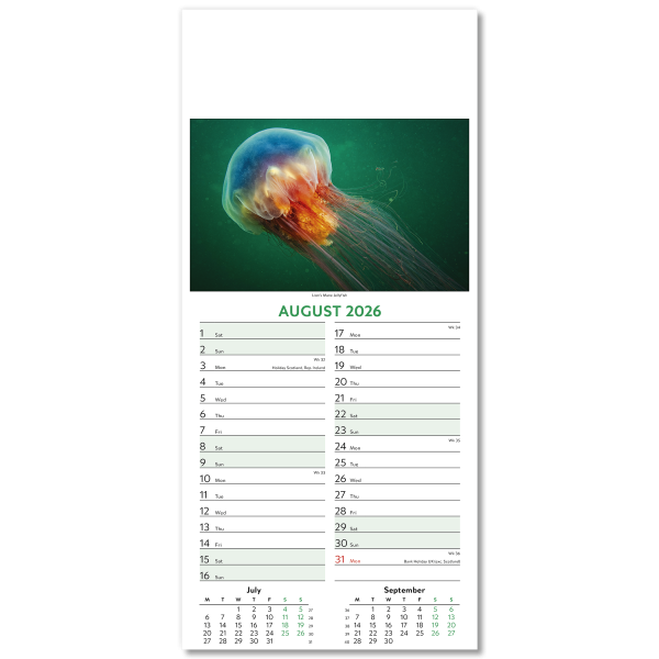 Wildlife Slim Wall Calendar