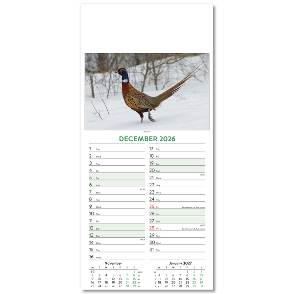 Wildlife Slim Wall Calendar