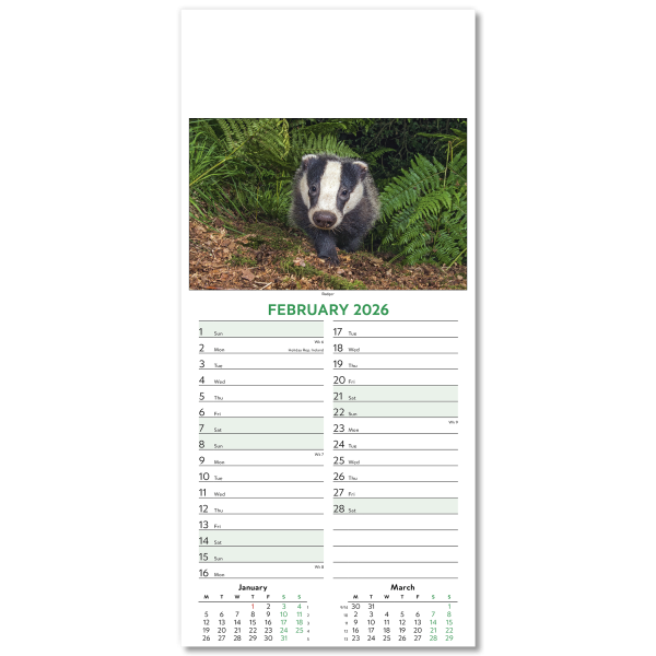 Wildlife Slim Wall Calendar