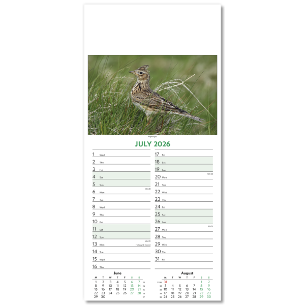 Wildlife Slim Wall Calendar