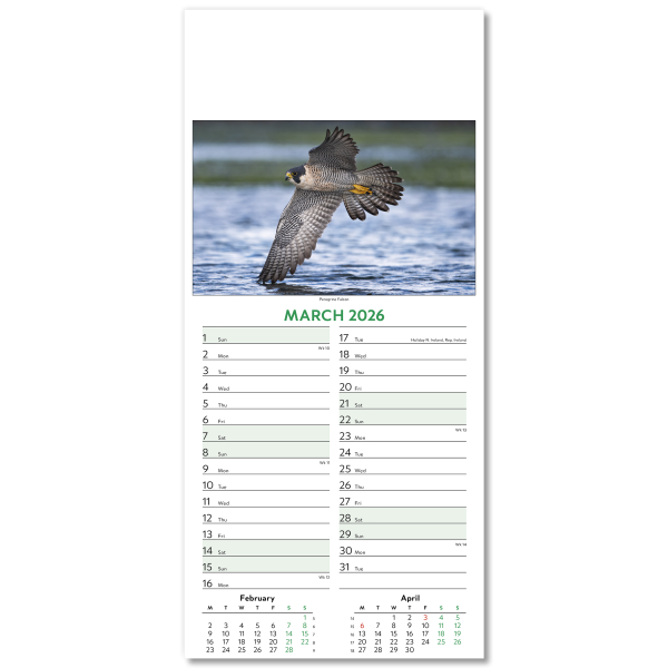 Wildlife Slim Wall Calendar