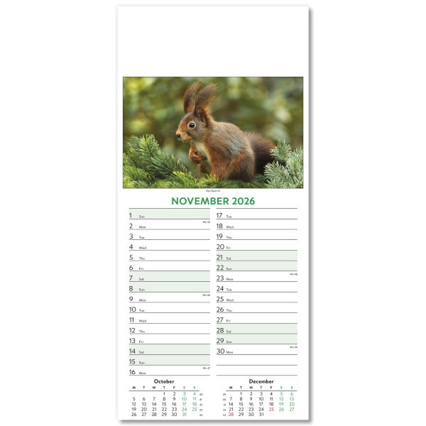 Wildlife Slim Wall Calendar