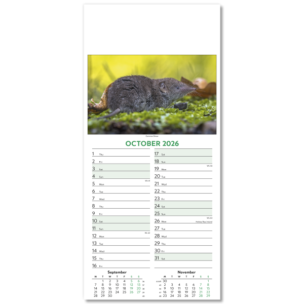 Wildlife Slim Wall Calendar