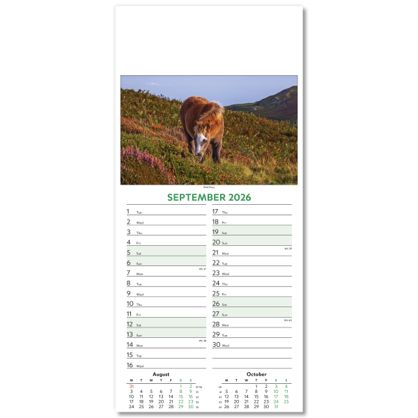 Wildlife Slim Wall Calendar