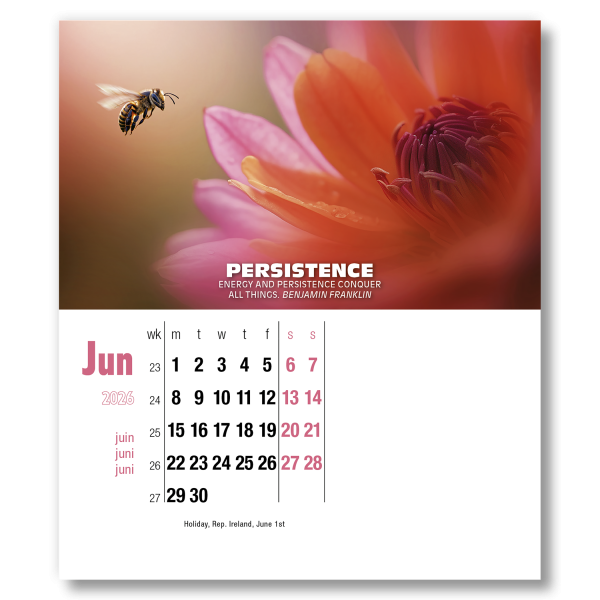 Inspirations CD Calendar