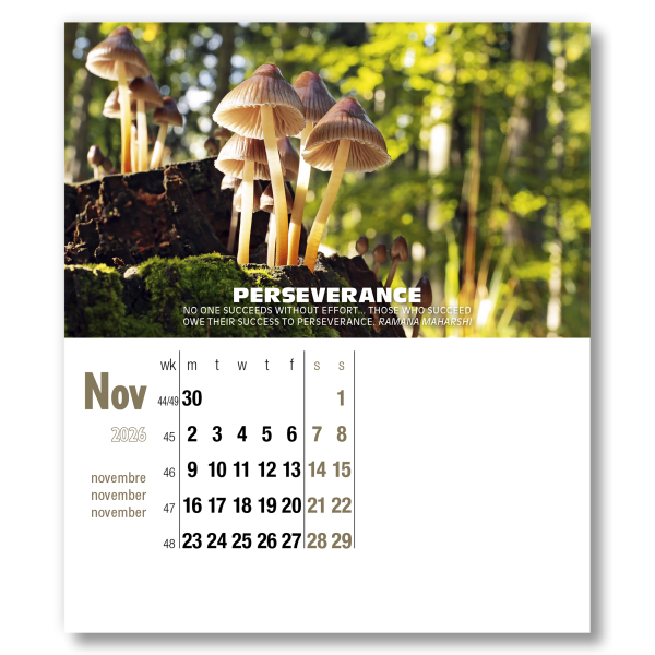 Inspirations CD Calendar